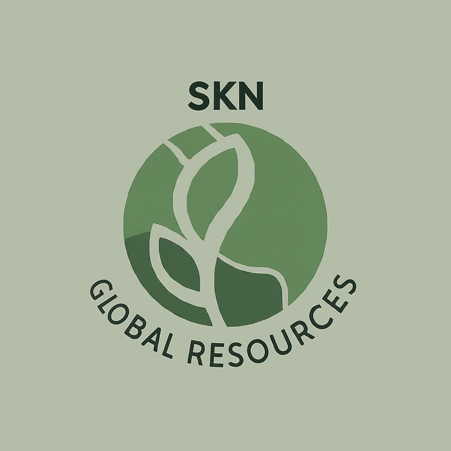 skn global resources logo