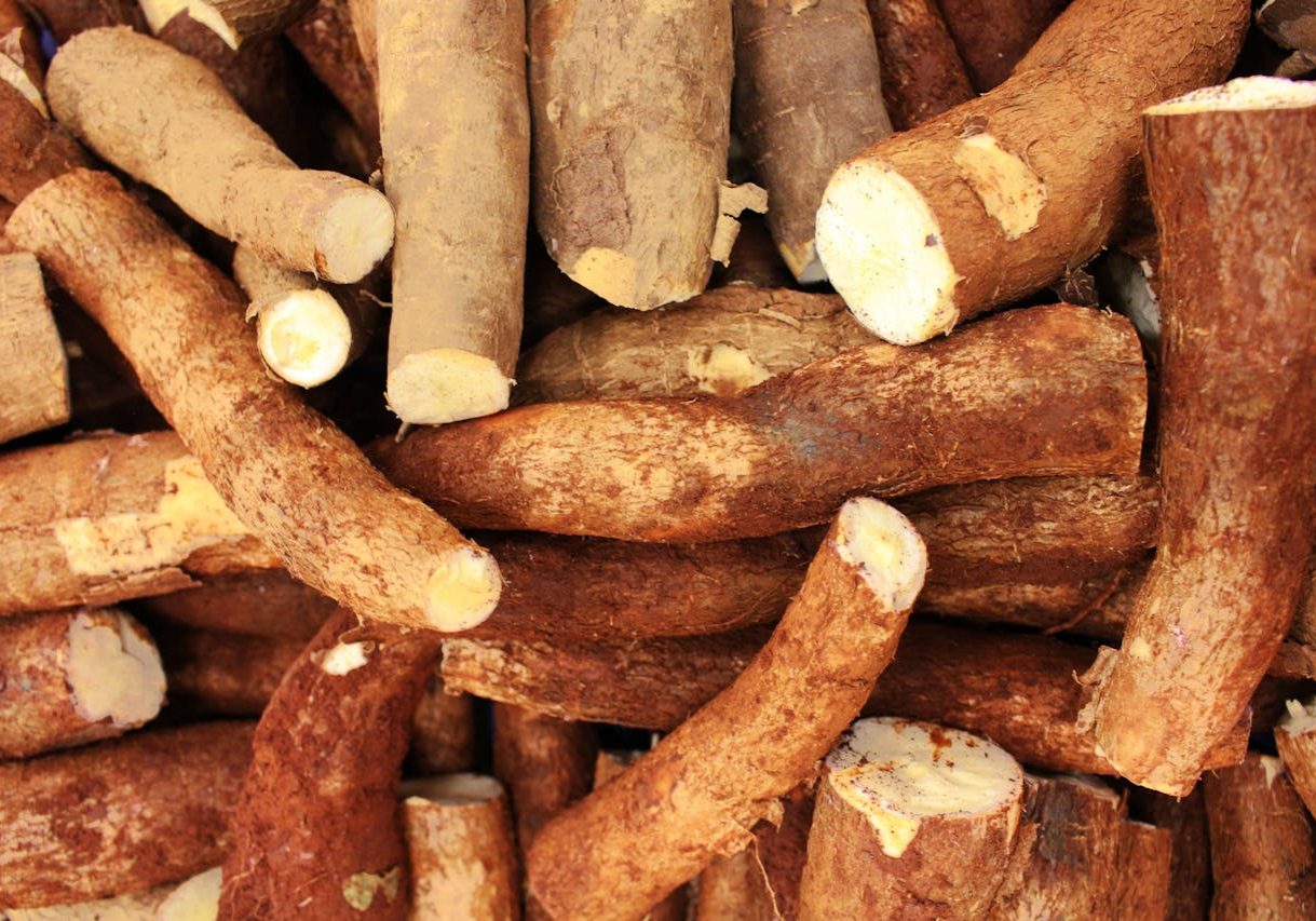 Cassava